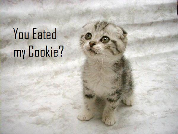 You eated my cookie?